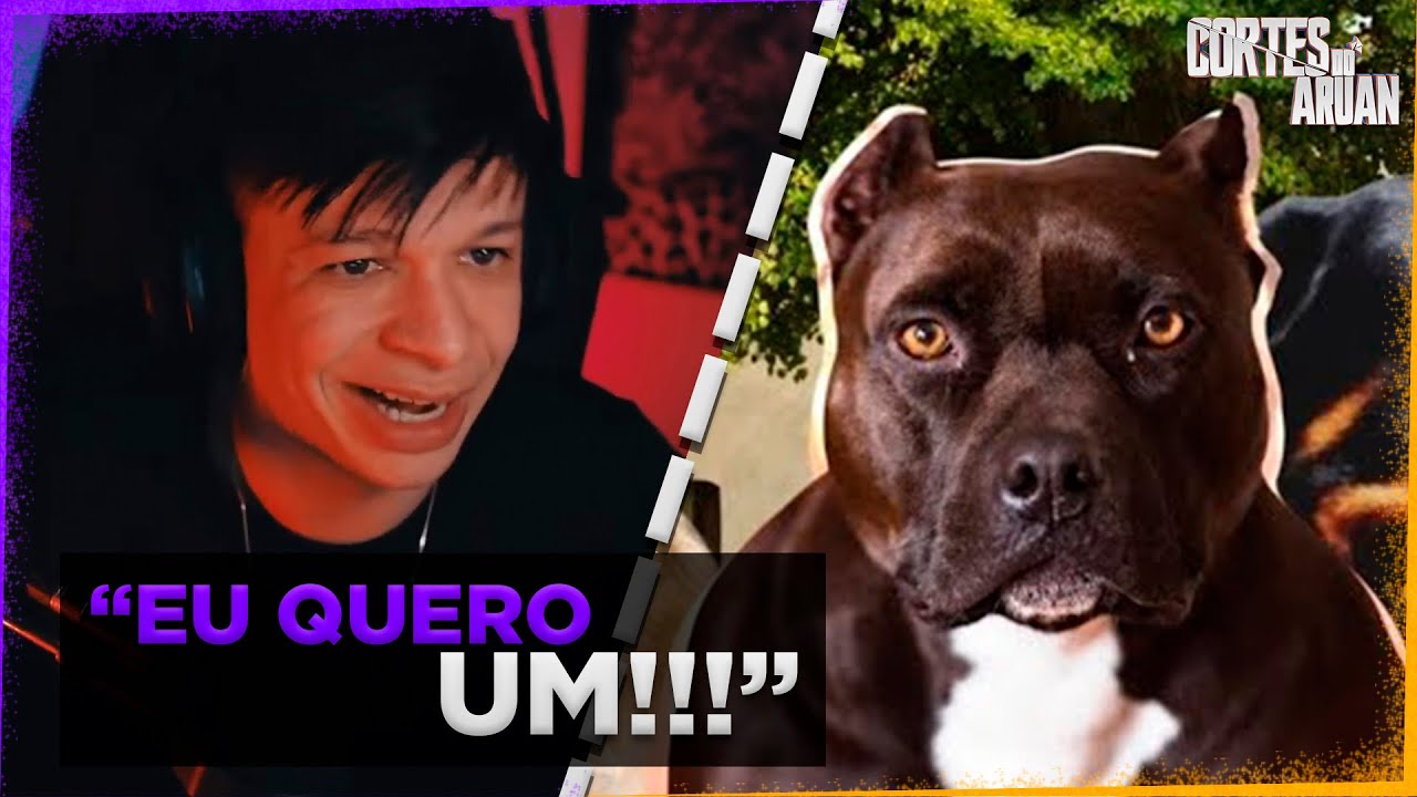 ARUAN REAGE A TOP 10 RAÇAS DE CACHORRO MAIS BRAVA DO MUNDO (CABEÇA CURIOSA) - Cortes do Aruan