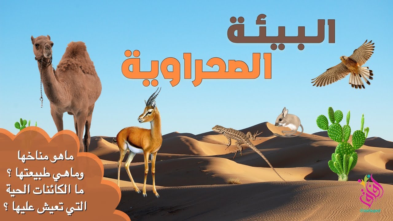 البيئة الصحراوية | طبيعتها و مناخها و الكائنات الحية التي تعيش فيها