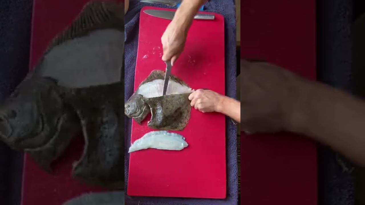 Filleting the BEST eating fish in the ocean #turbot #filleting #fishmonger