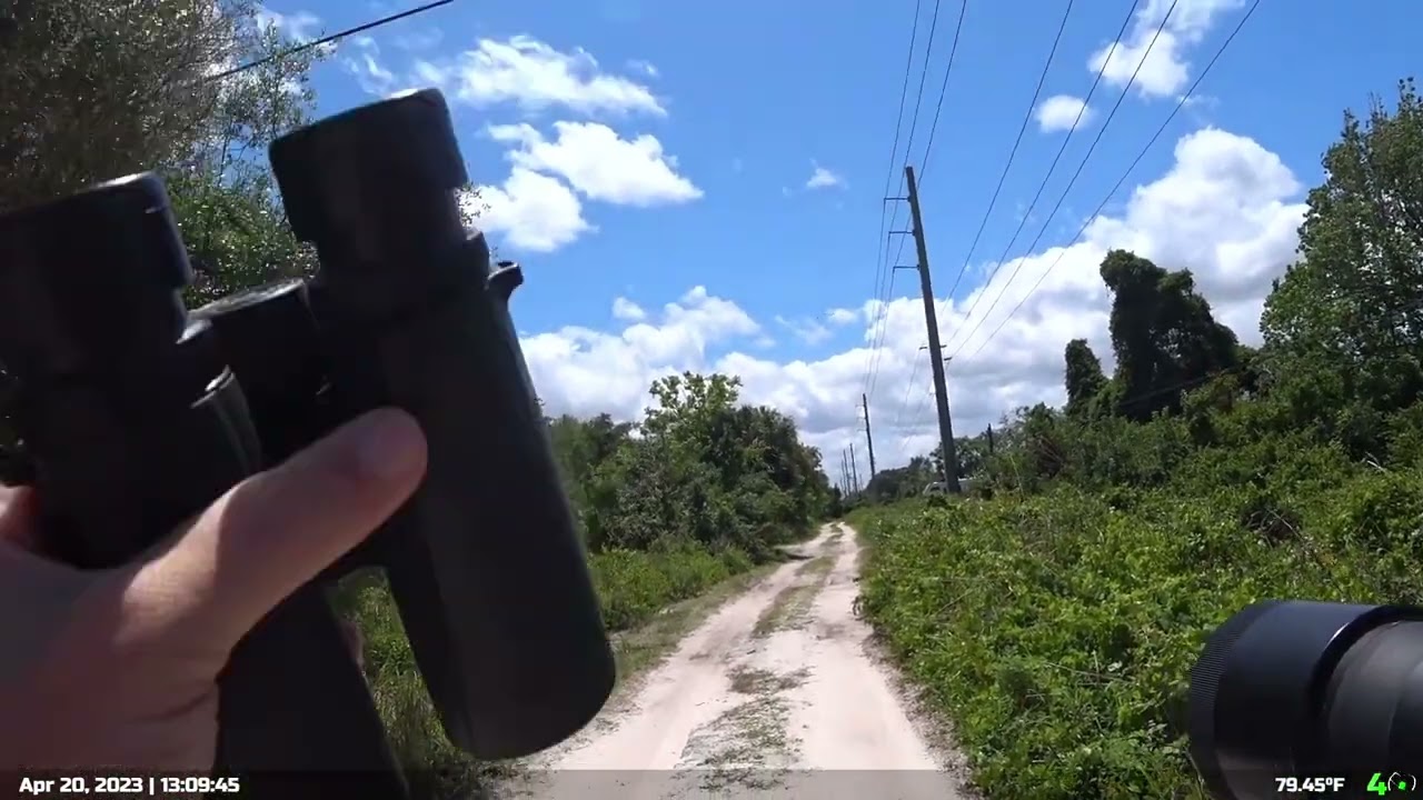 Spring bird migration check | Space Coast, FL @drwd40