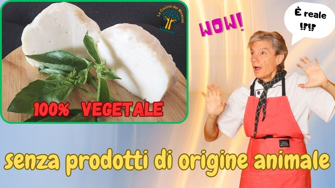 MOZZARELLA VEGANA - L'ARTE IN CUCINA