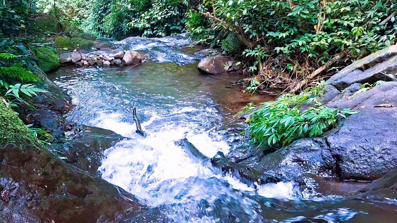Soft River Sounds for Deep Night Rest