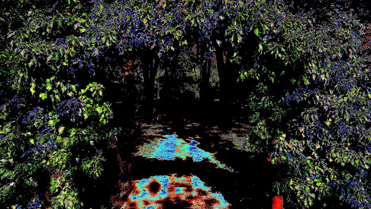 SANDHYA / Ambient Music, Experimental Music