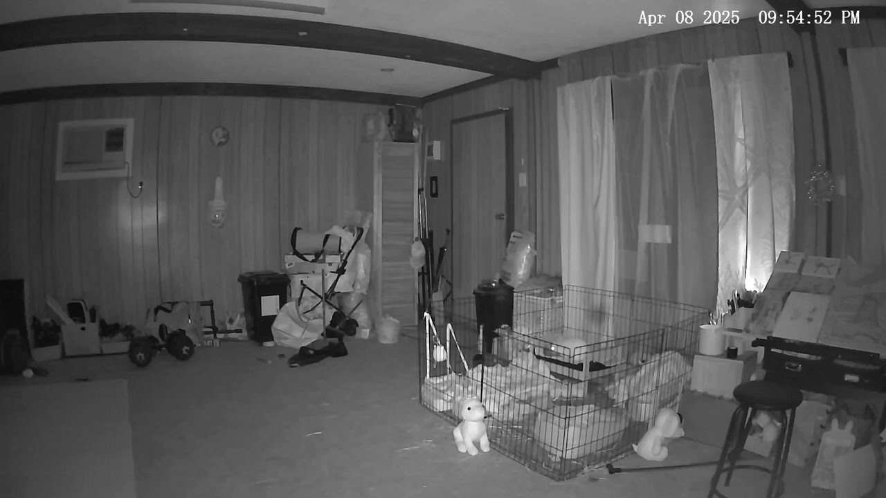 Ghosts? Bugs? Orbs! Or Dust? You Decide!