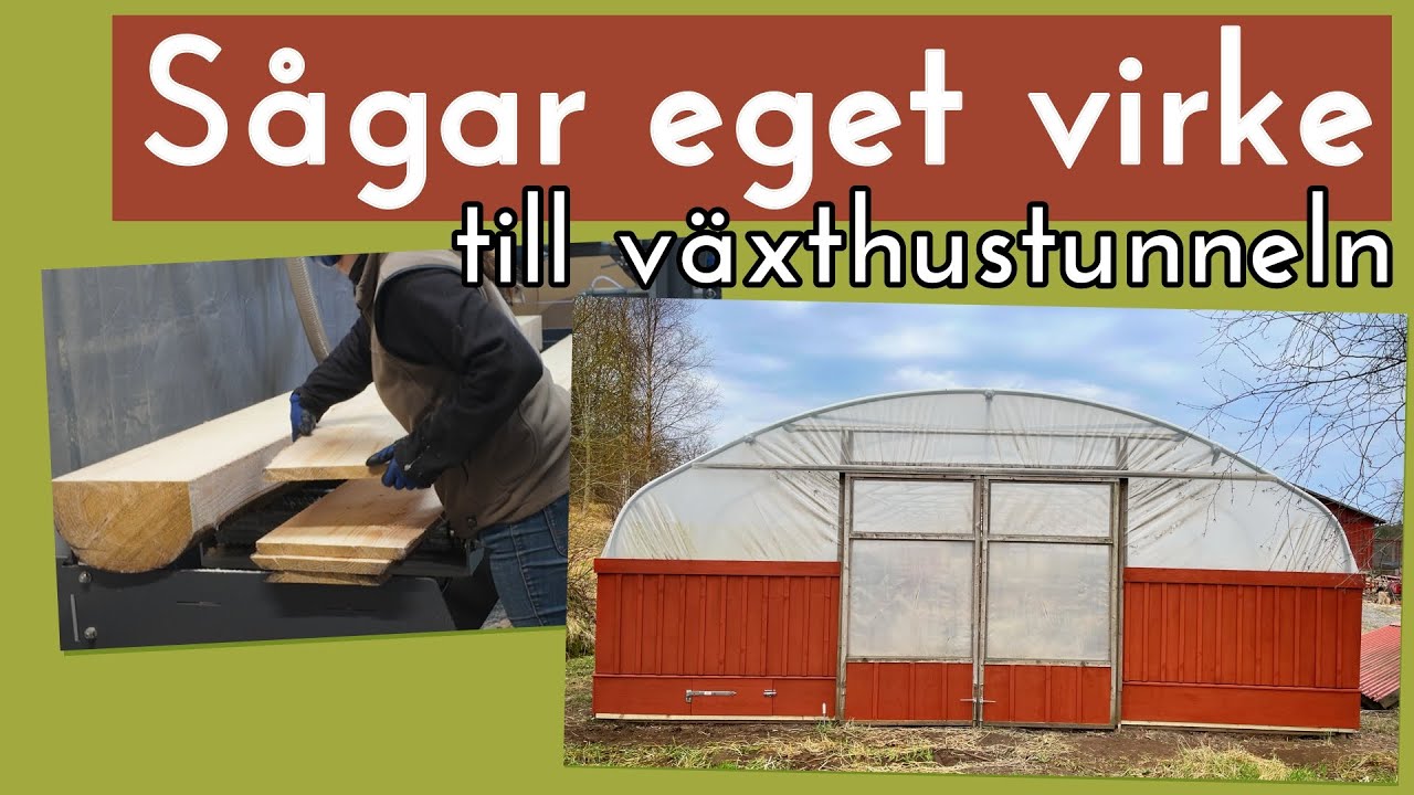 Sågar virke på bandsågverket till växthustunneln