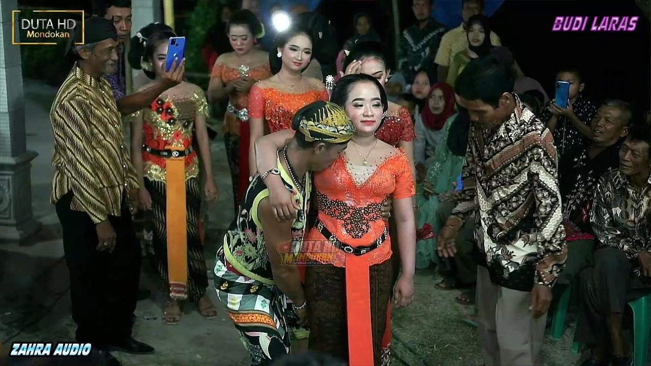 PARDI KUCING Oleh Vitamin.....