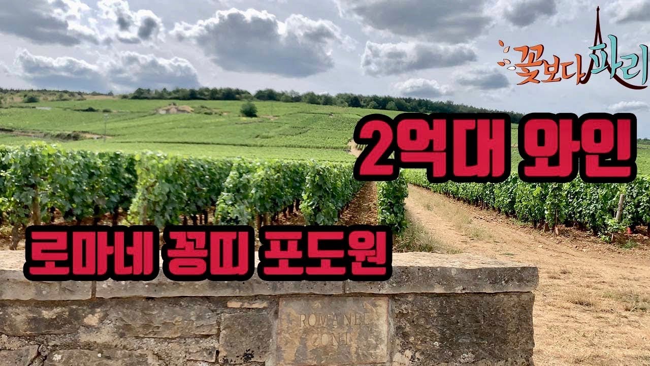 세계에서 가장 값비싼 와인. 로마네 꽁띠 포도밭에 가다.