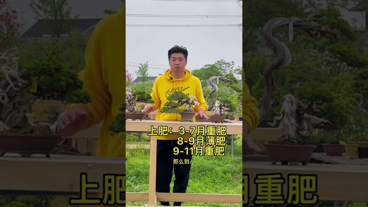#真柏 的养护管理（一） 环境 要求通风良好，光照充足 施肥