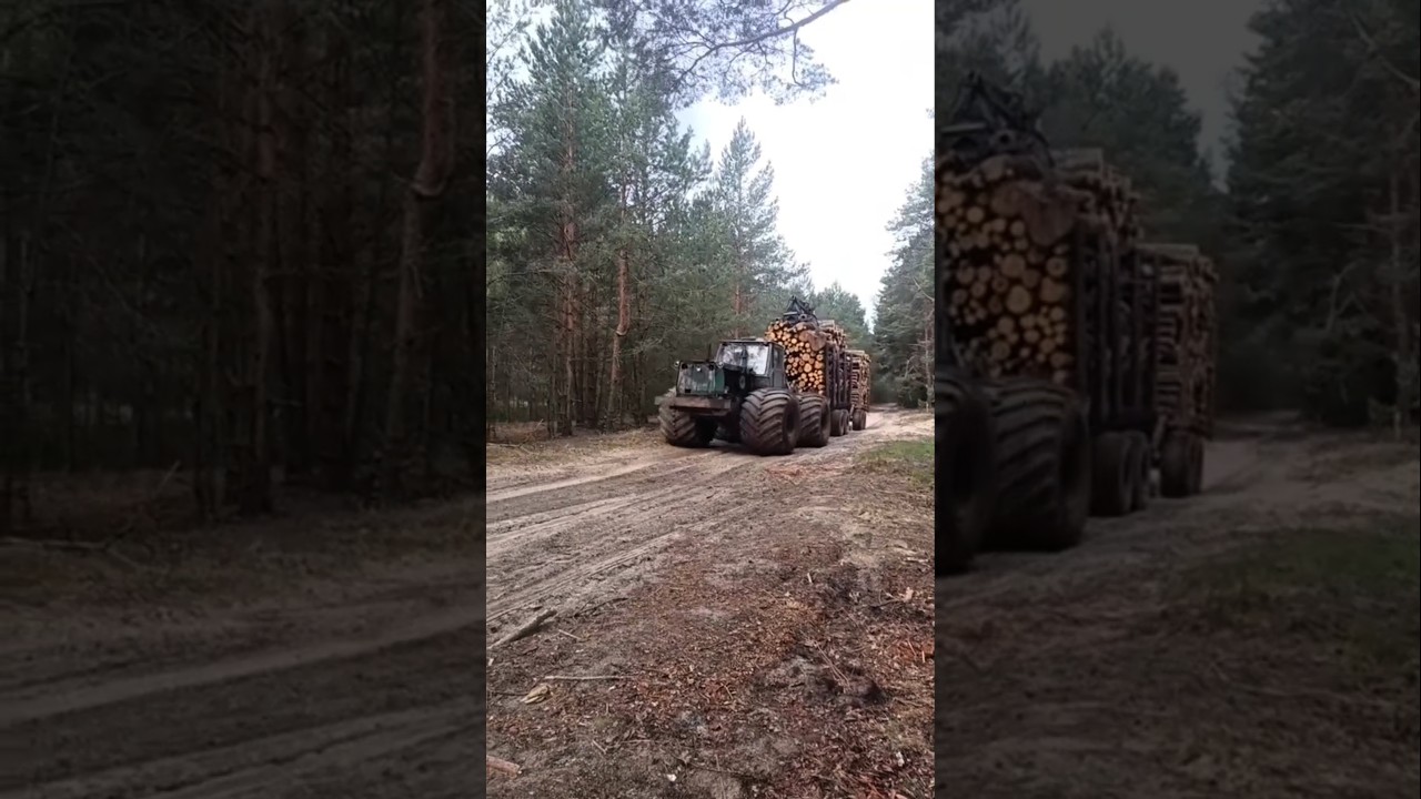Ciągnik leśny Monster Forestry, kt&oacute;ry przewozi kłody jak nigdy dotąd 😳 #leśnictwo #traktor #wycinka