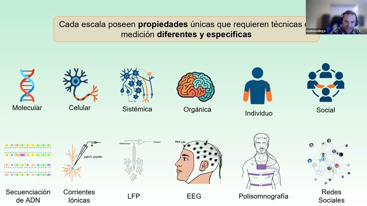 Del cerebro a la práctica - Aplicaciones reales de la Neurociencia