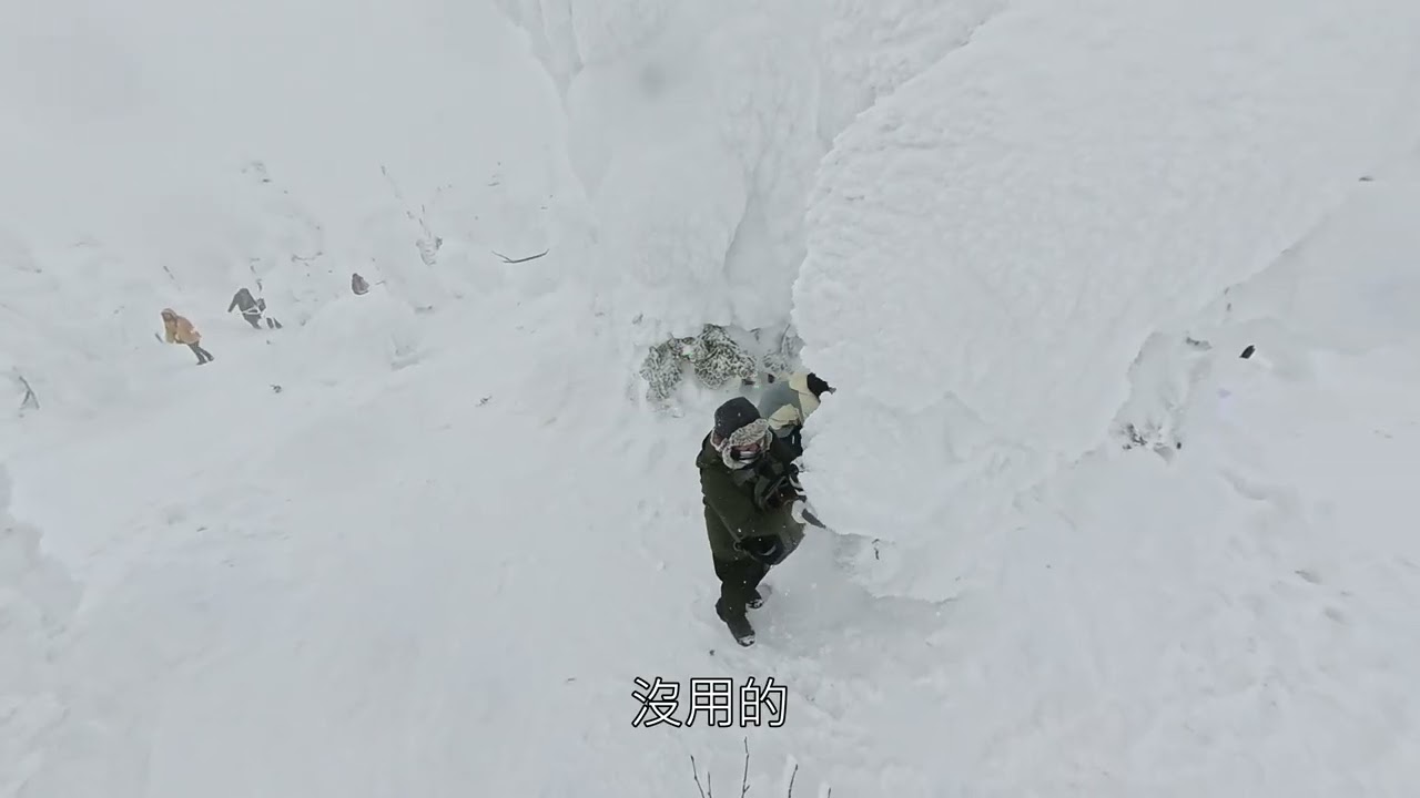 2026年02月11日-藏王樹冰