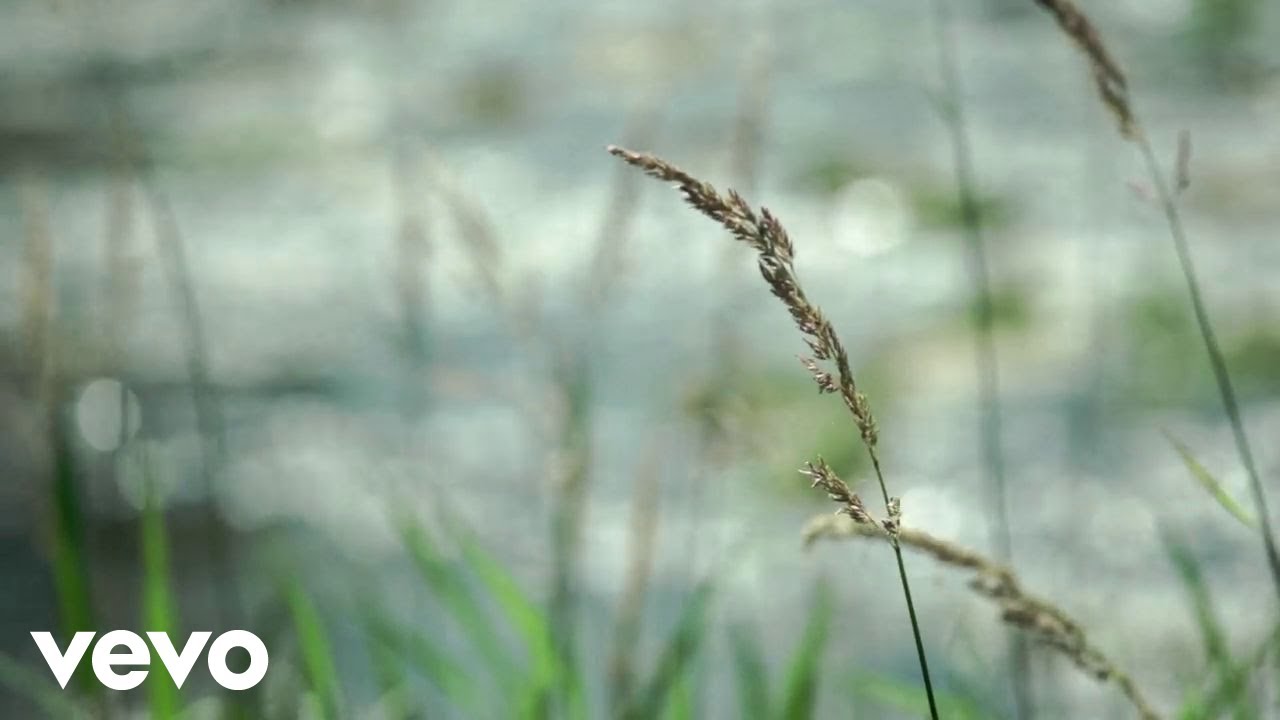 Arsen Dedić - Odlazak
