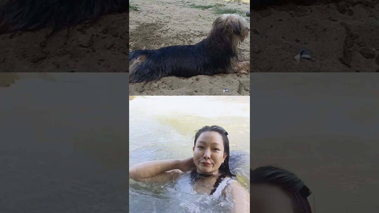 chilling wid my paw-tner..#shorts #shortvideo #shortsviral