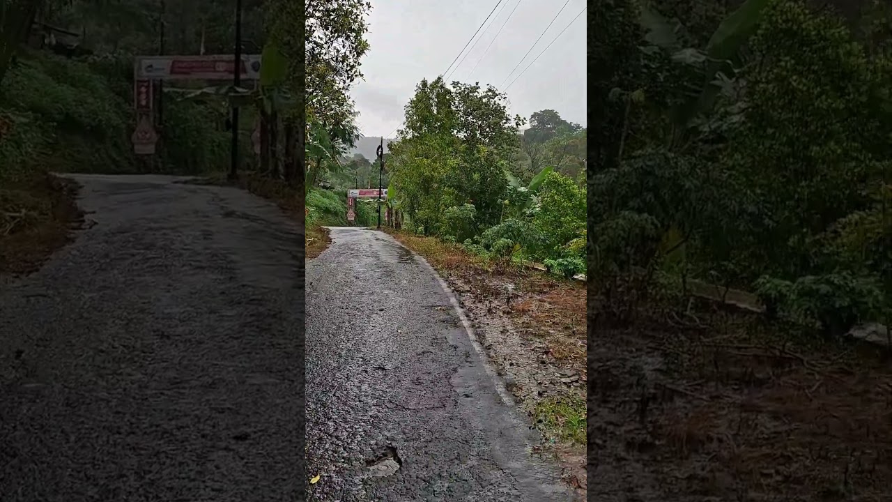 Listen Closely… Heavy Rain Sounds on a Mountain Village Road 