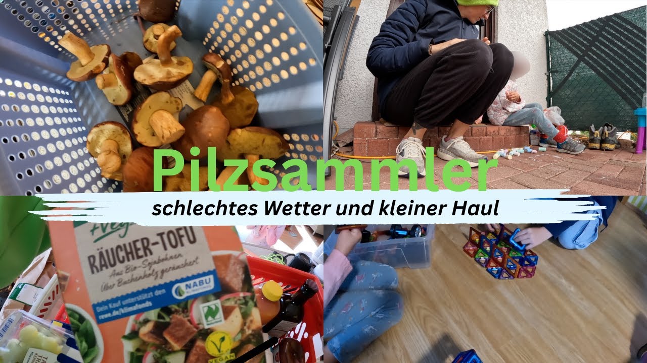 erstes mal Pilze gesammelt +probiert 🥴 / Kleiner Haul und ich habs verkackt / dorfkidz #food #funny