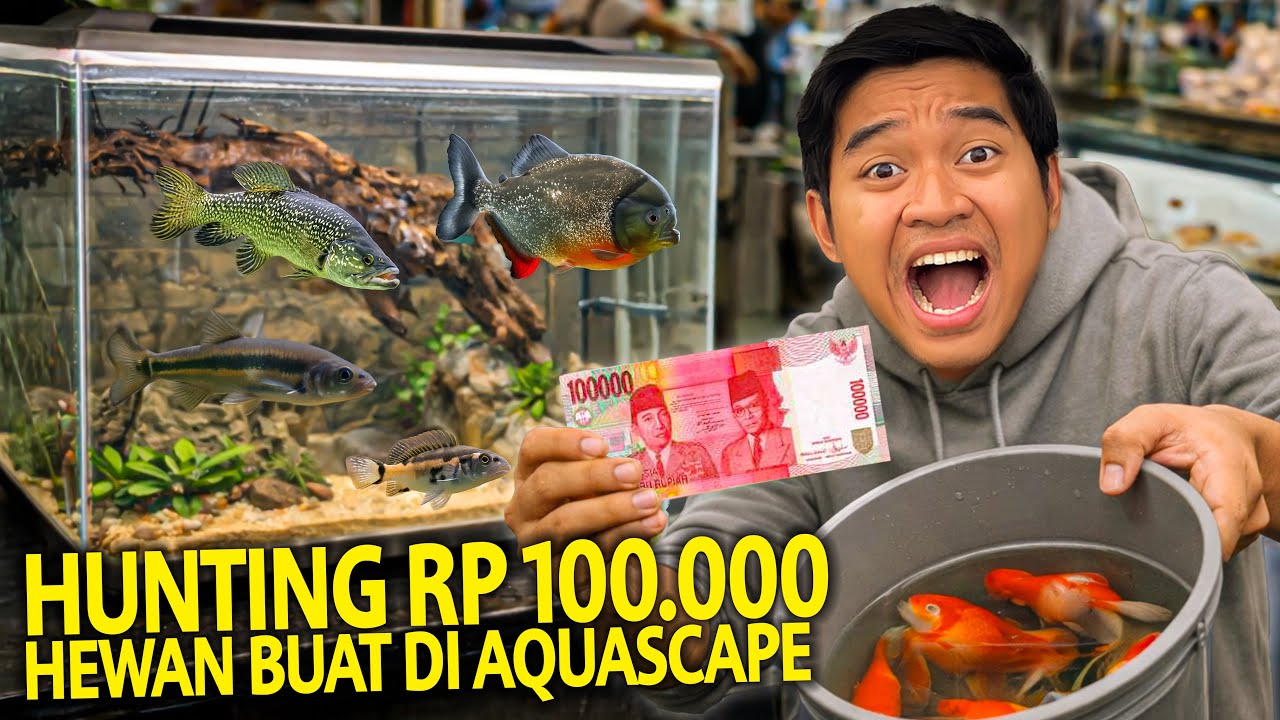 HUNTING HEWAN RP 100.000 BUAT NGISI AQUASCAPE BARU AKU!