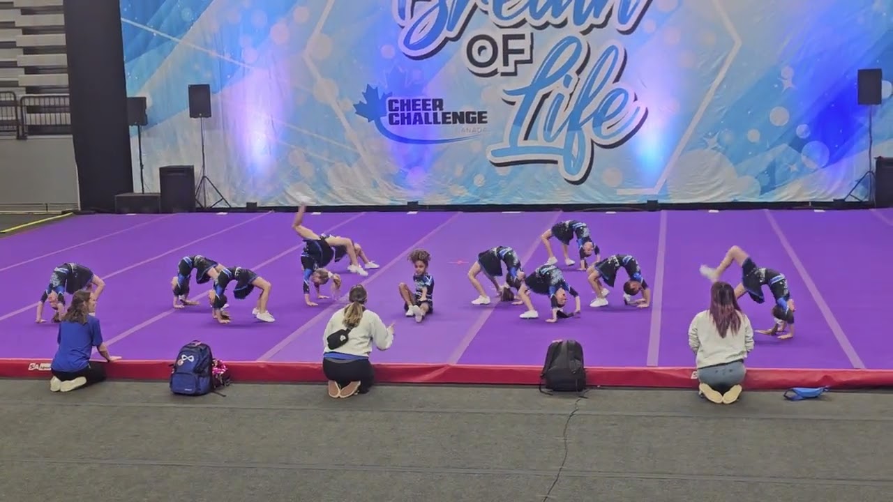 Champion Cheer Academy Cosmic Queens, U8 Allstar Level 1. 6th place Breath of Life 2023 Cheer Comp