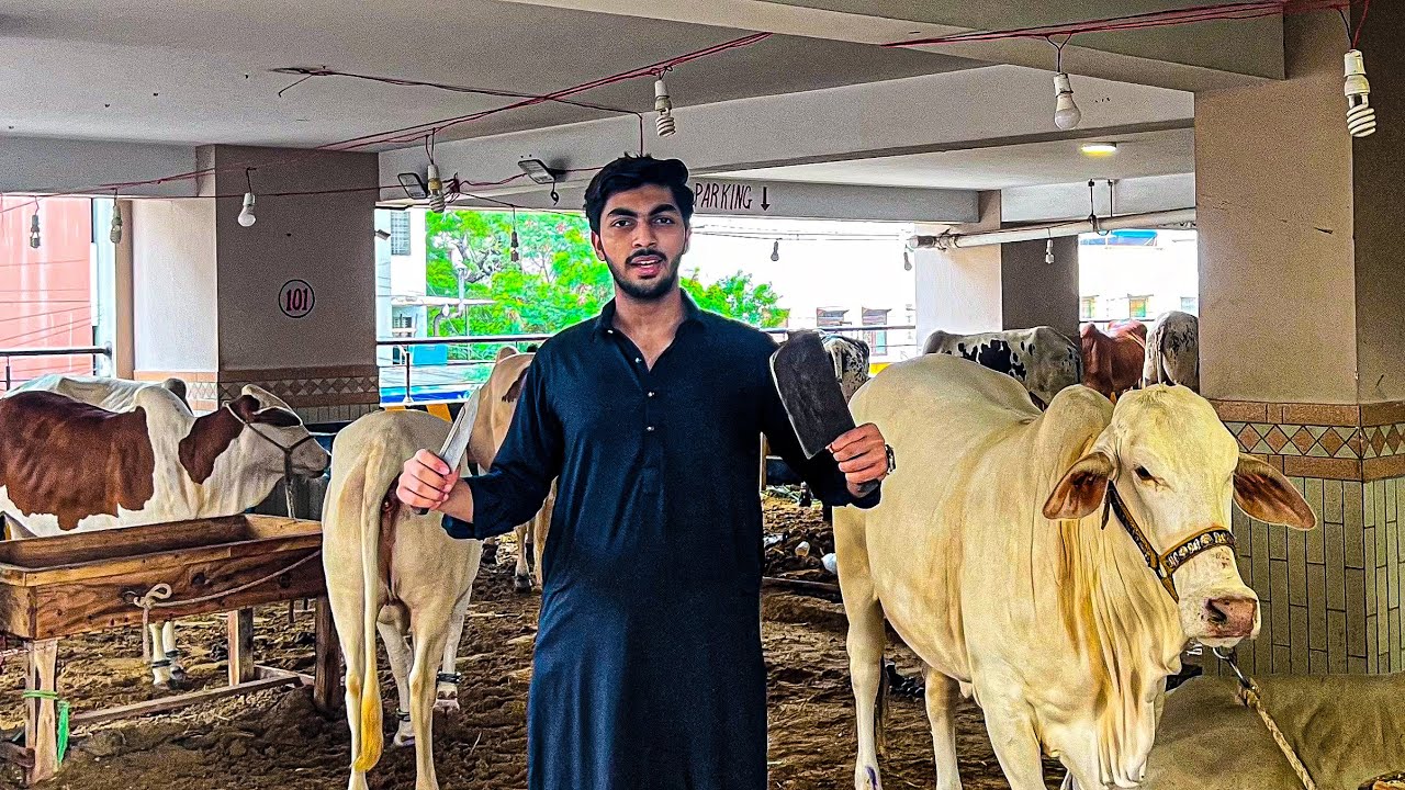 Bakra eid first day vlog 🐂