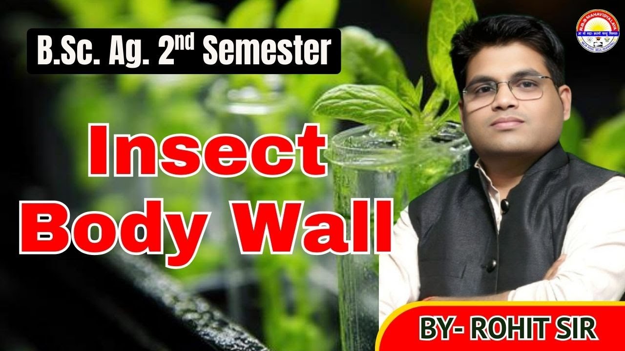 B.Sc (Ag.) 2nd Semester || Insect Body Wall || By - Rohit Sir ||