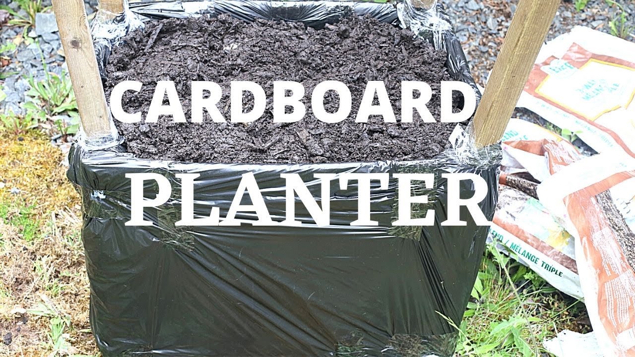 CARDBOARD BOX PLANTER || HOW TO BUILD A CHEAP GARDEN BOX WITH A CARDBOARD