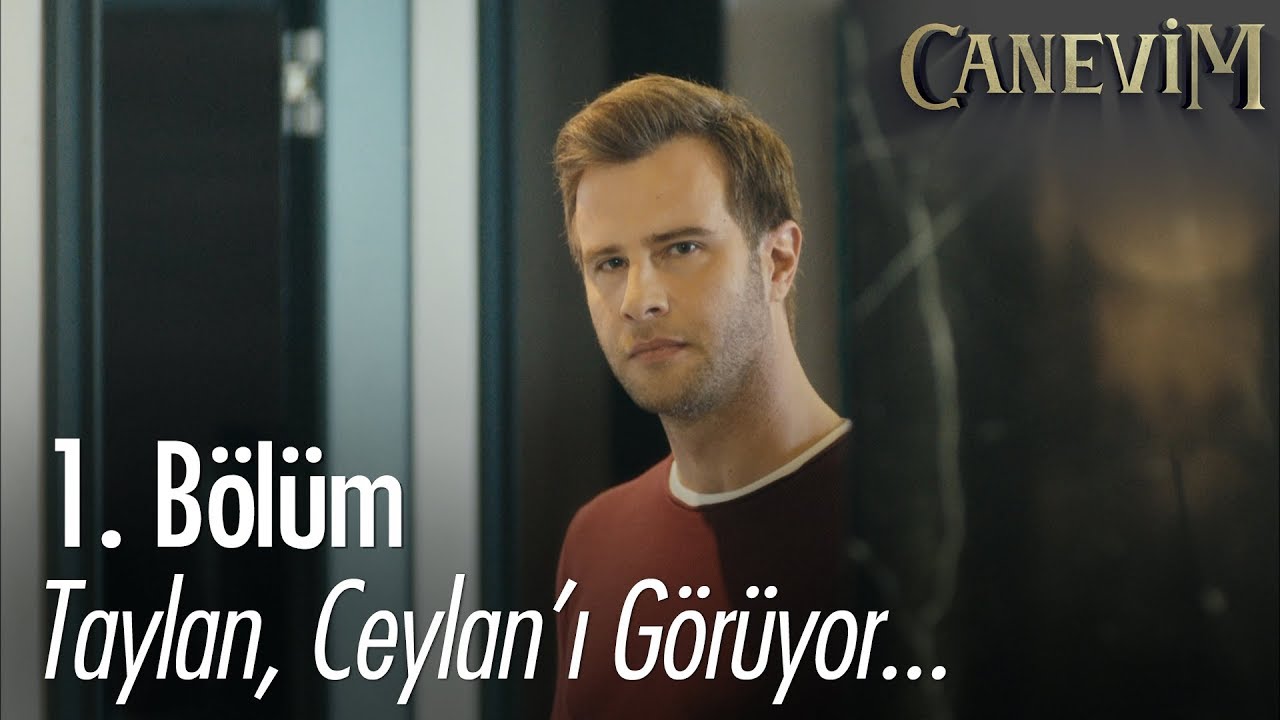 Taylan, Ceylan'ı g&ouml;r&uuml;yor... - Canevim 1. B&ouml;l&uuml;m