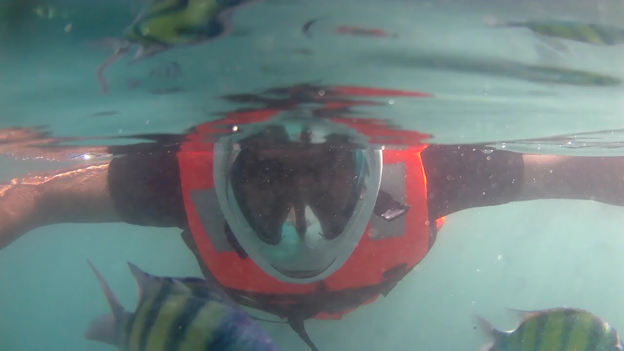 Andaman Snorkeling of non swimmer Experience | Tropical Fish & Blue Sea