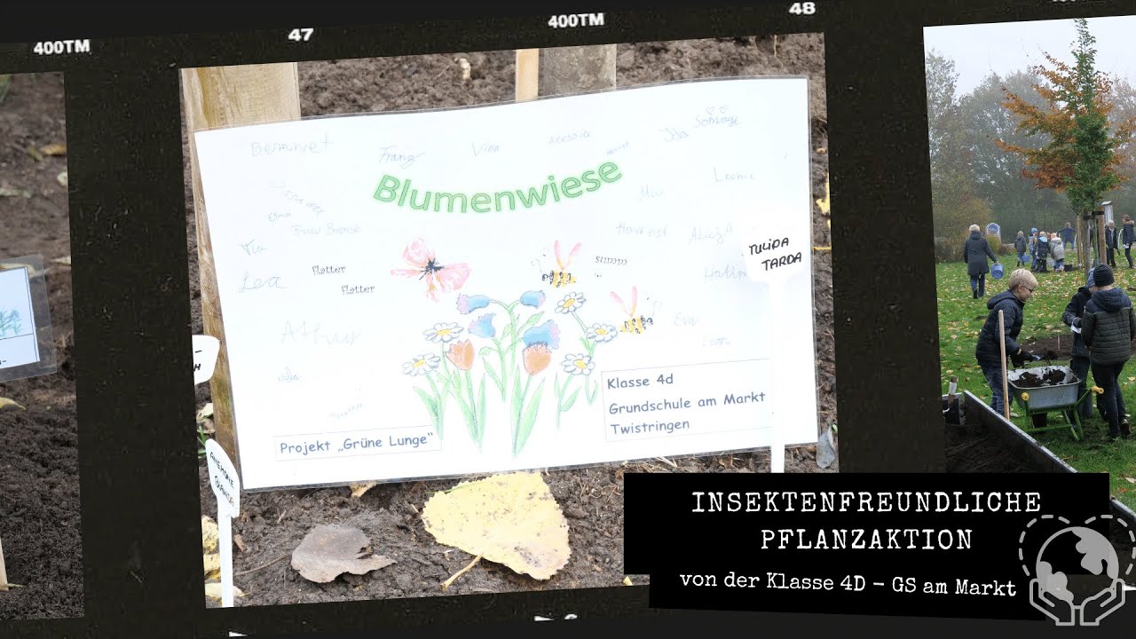 Pflanzaktion der Klasse 4d von der GS am Markt Twistringen