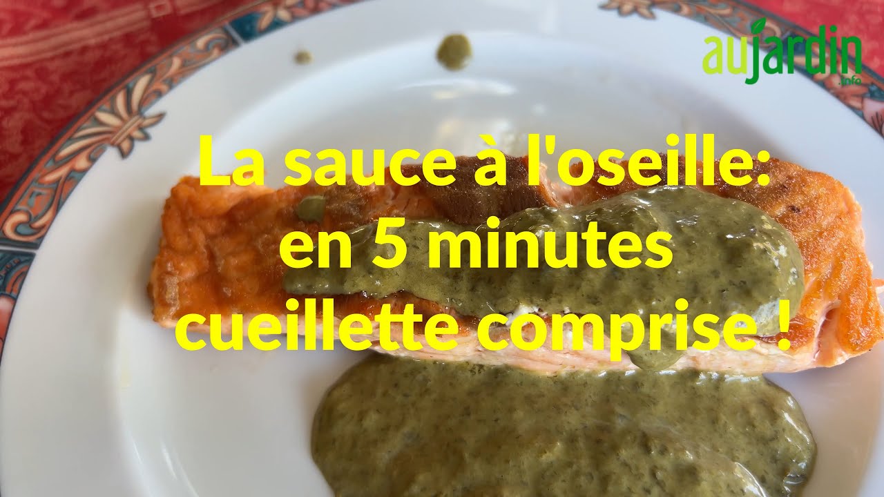 RECETTE de la SAUCE à l'OSEILLE en 5 MIN TOP CHRONO, du JARDIN à  L'ASSIETTE - LÉGUME PERPÉTUEL