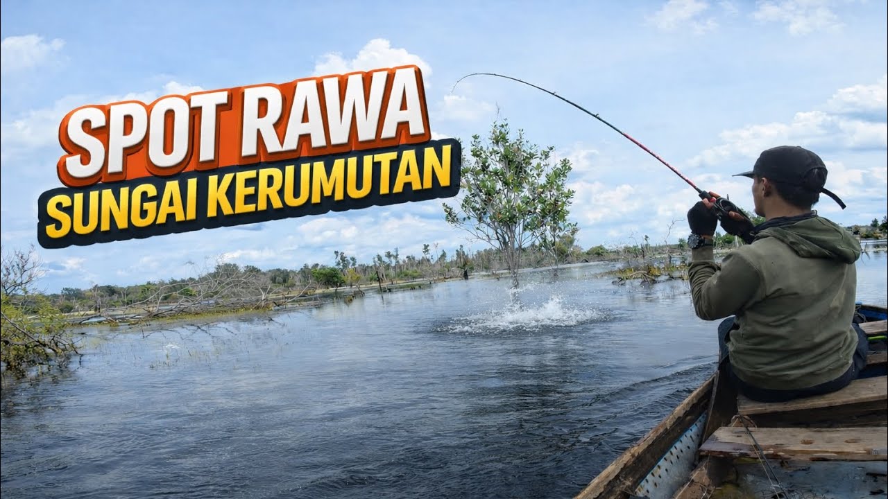 LUAR BIASA!! SPOT RAWA SUNGAI KERUMUTAN