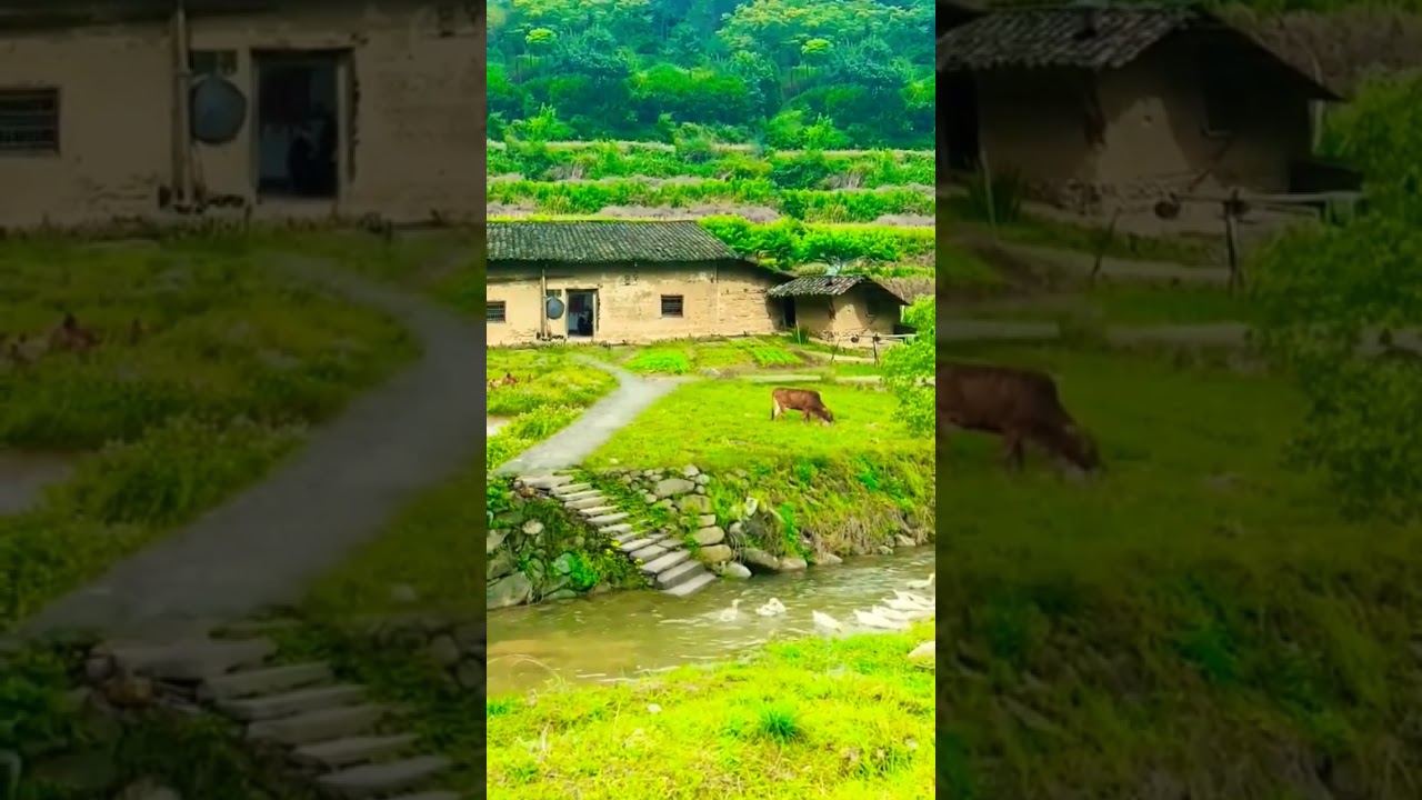 short video #nature voice real feel sound like good night #releax #travel #relxing #liferelaxation
