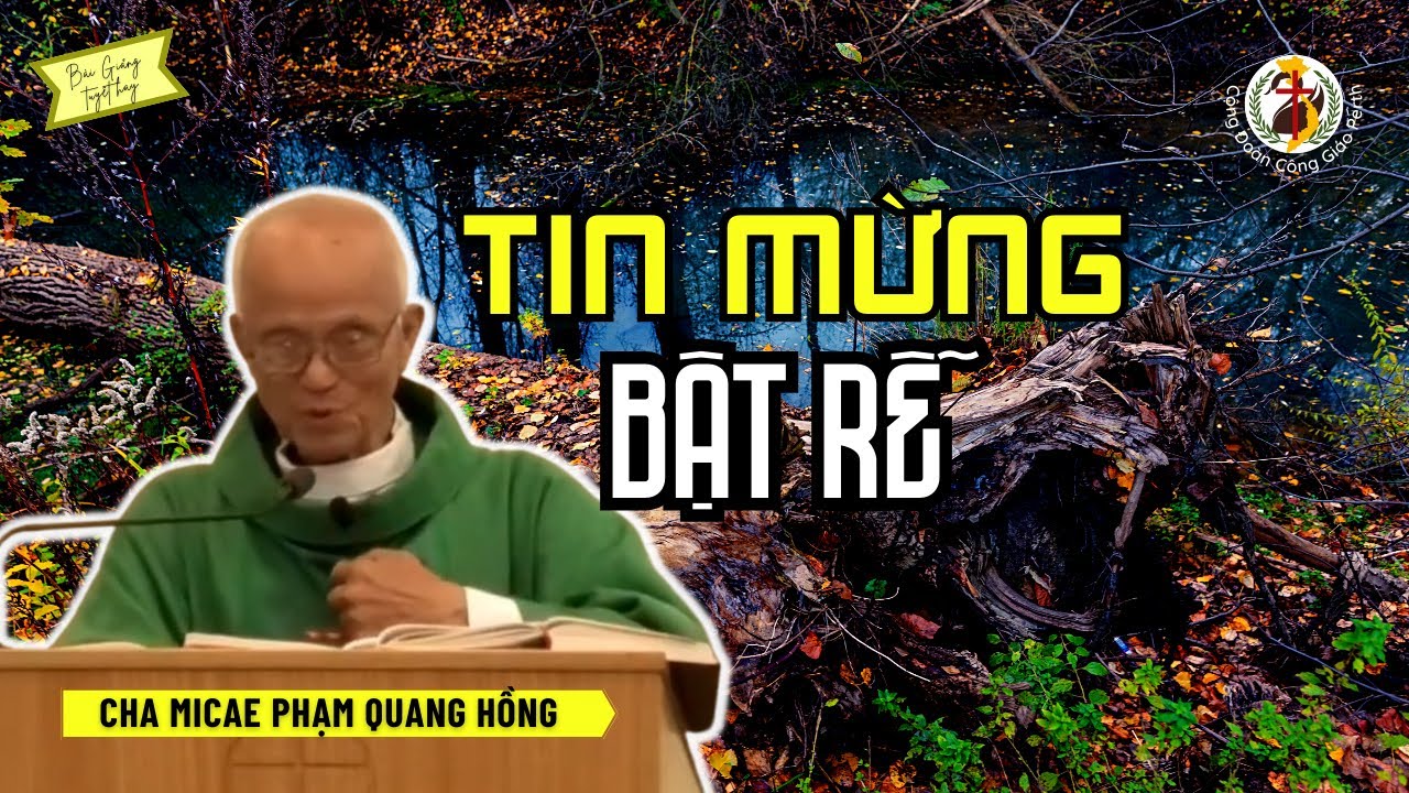 Tin Mừng bật rễ 🌼 Bài Giảng Cha Hồng Mới Nhất