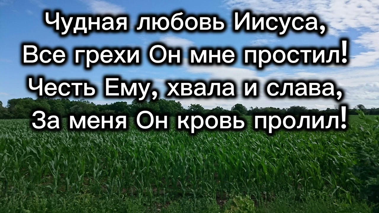 Чудная любовь и дивна. Христианская песня. Песнь Возрождения.