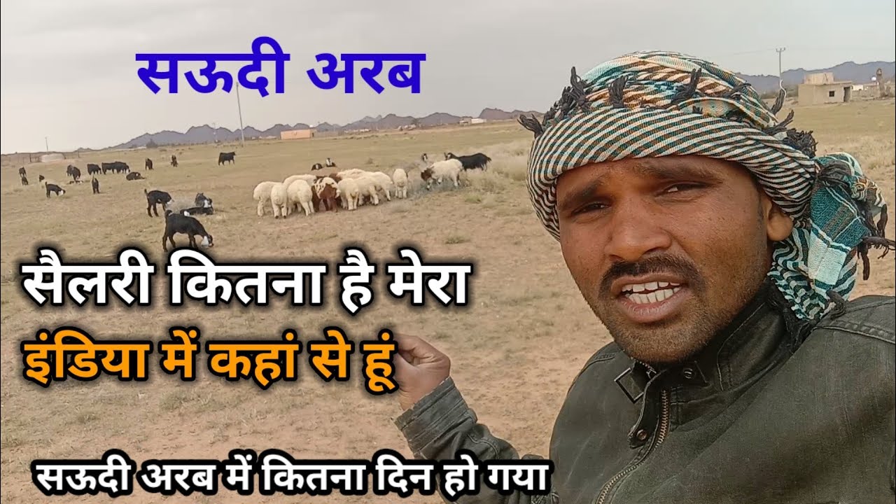 देखिए सऊदी अरब में बकरी के कितना कमाता हूं ? और कहां के रहने वाला हूं? Chandan good info |