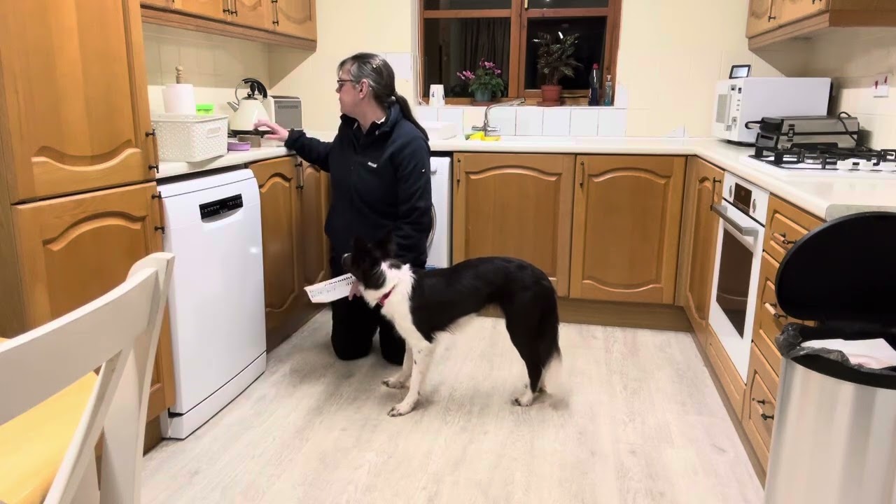 Seren putting items in boxes 6/1/26