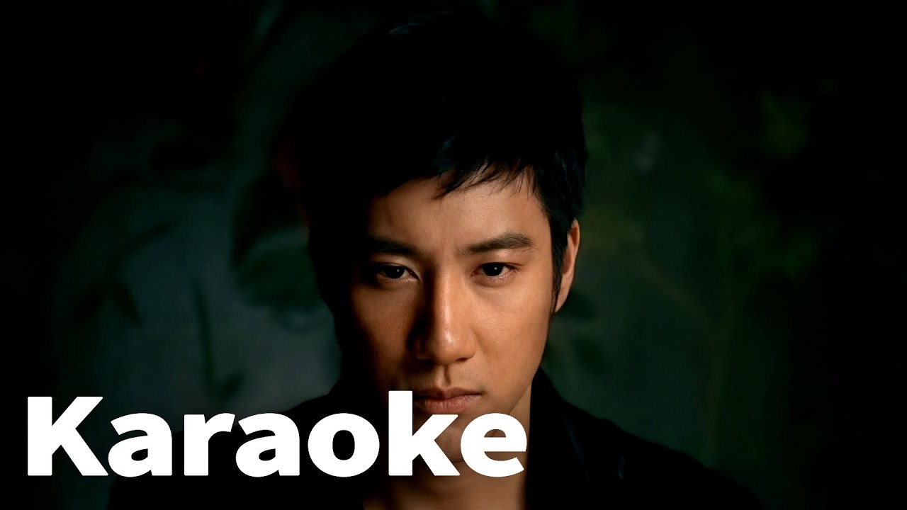 王力宏 花田錯 (Official Video Karaoke)