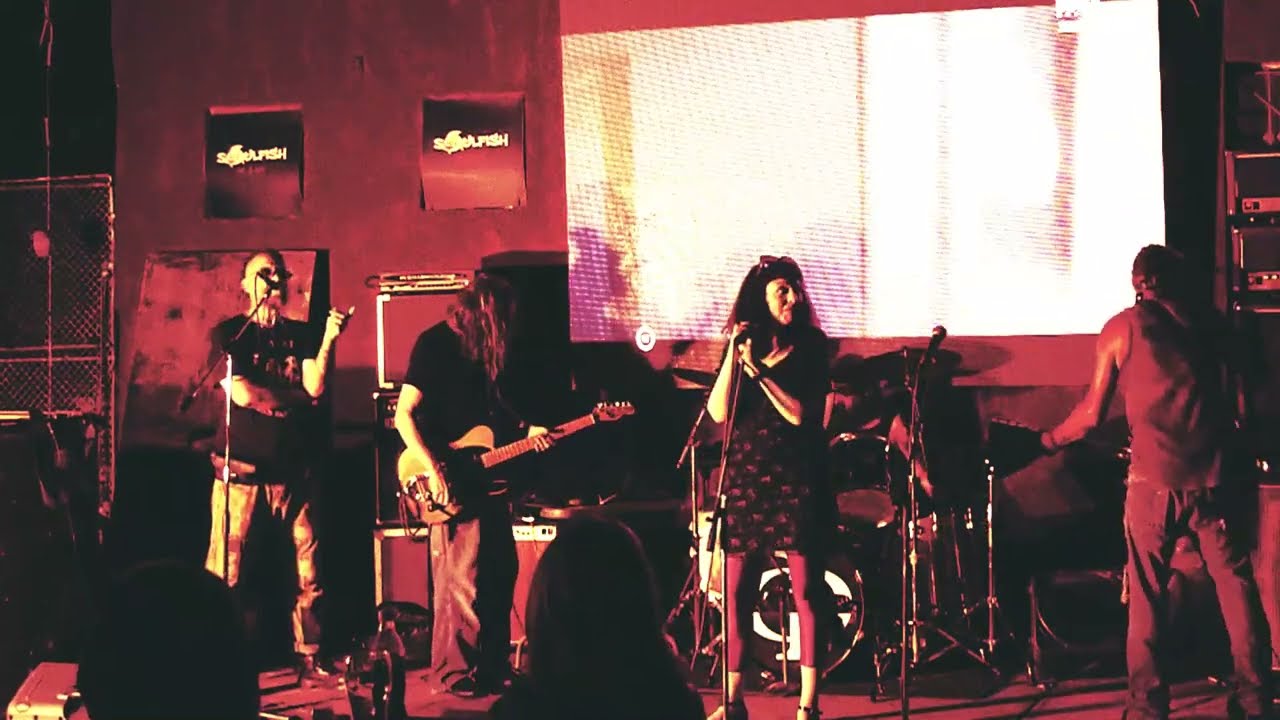 CsMr? - Beköszön - Szárszó 2024.07.12.