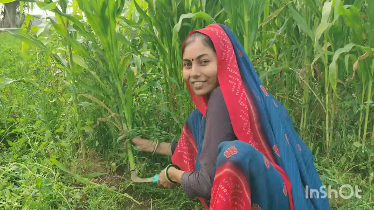 કોણ કોણ ખેતર માં કામ કરે 