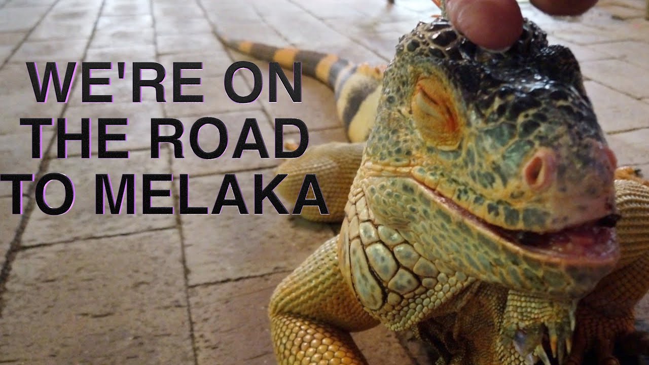 The Road To Melaka!