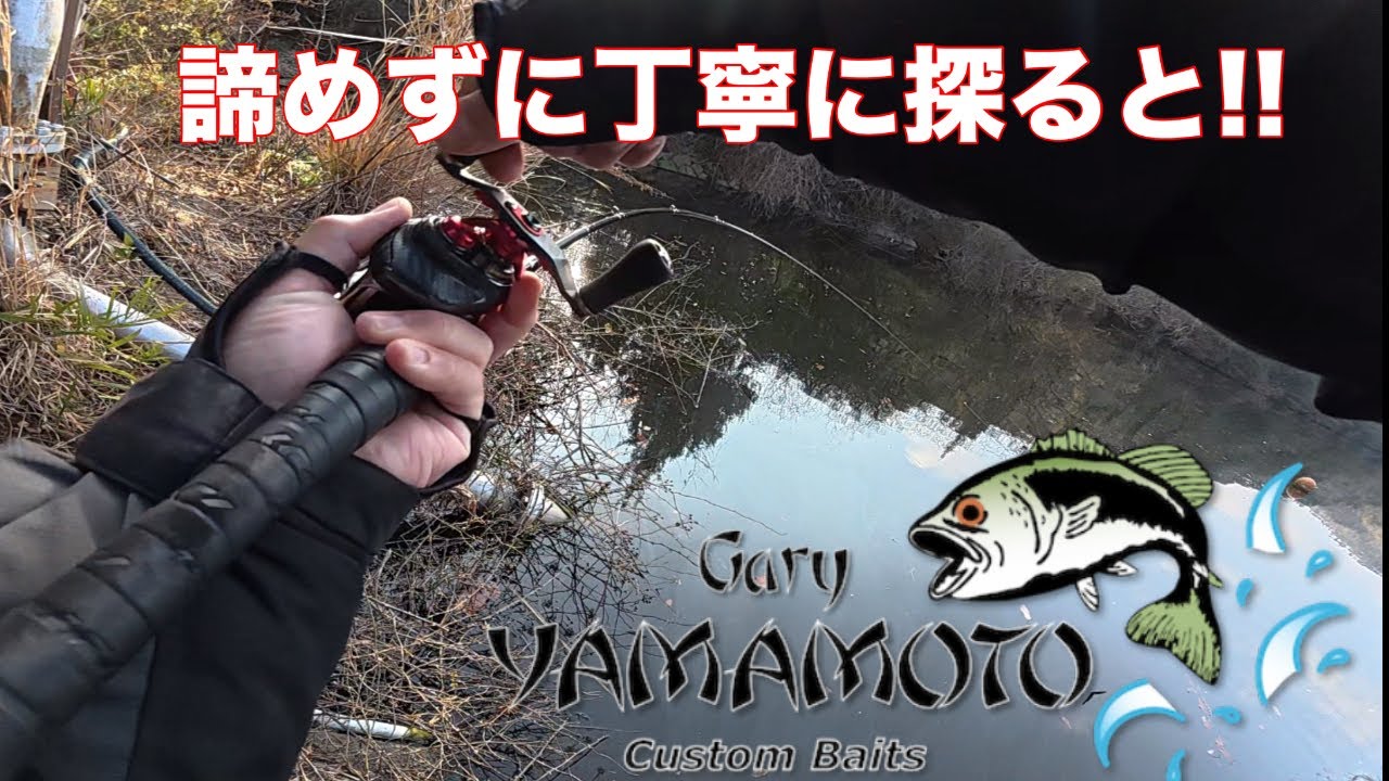 口を使わないバスに口を使わせるワーム
