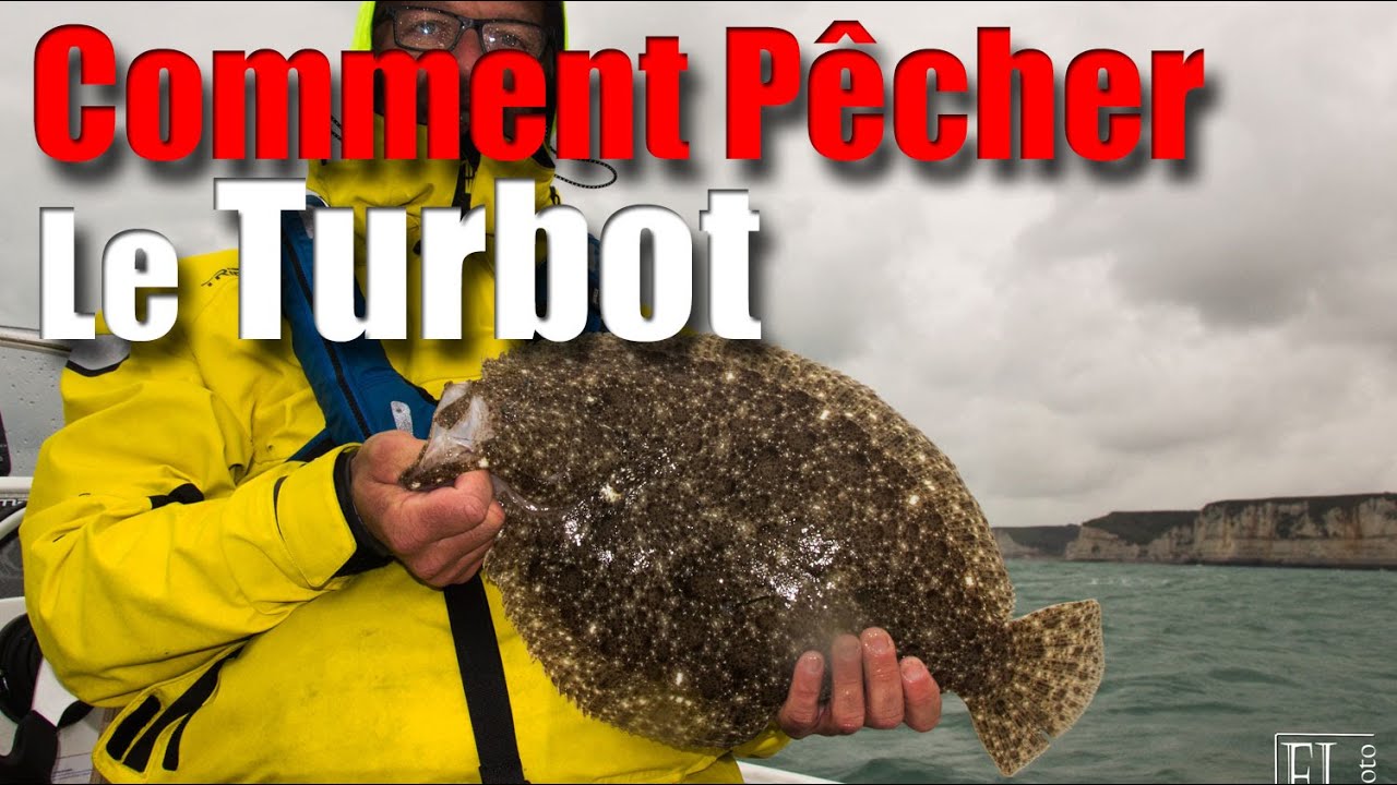 TURBOT : Comment Pêcher ce Poisson aux leurres