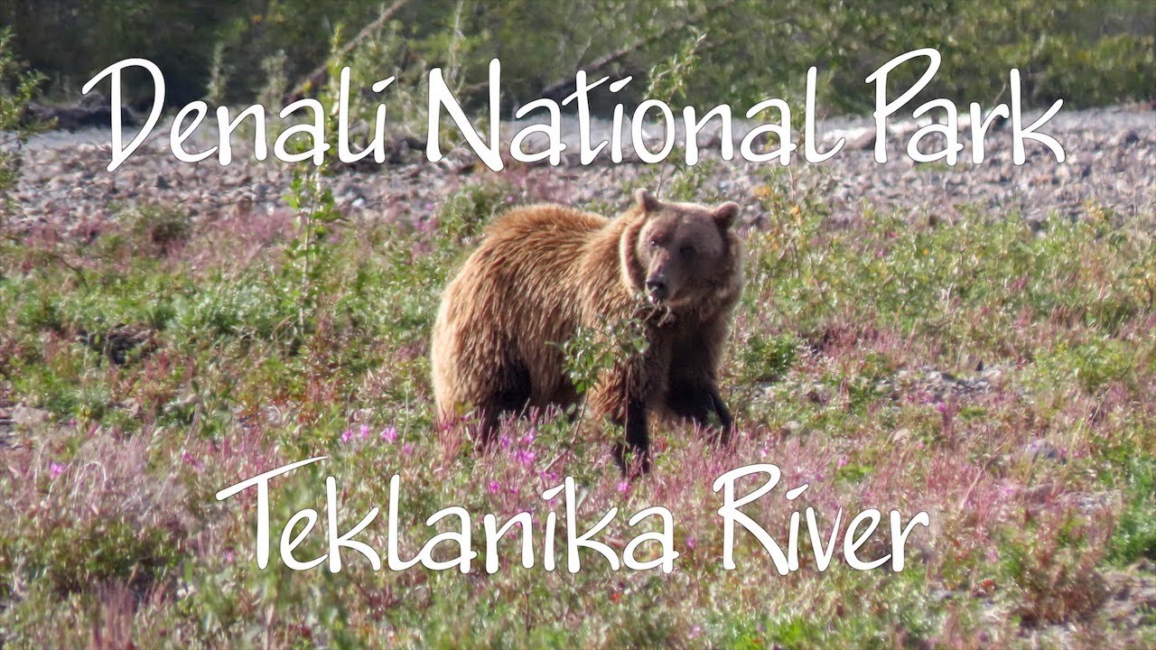 Denali National Park: Teklanika River, Alaska