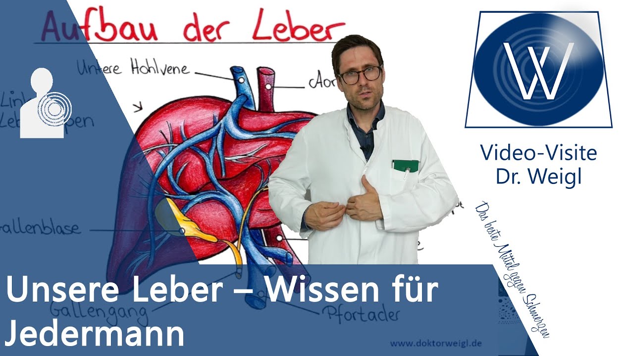 Unsere Leber - Gesünder leben durch Leber reinigen? Alles über Aufbau, Funktionen & Leberkrankheiten