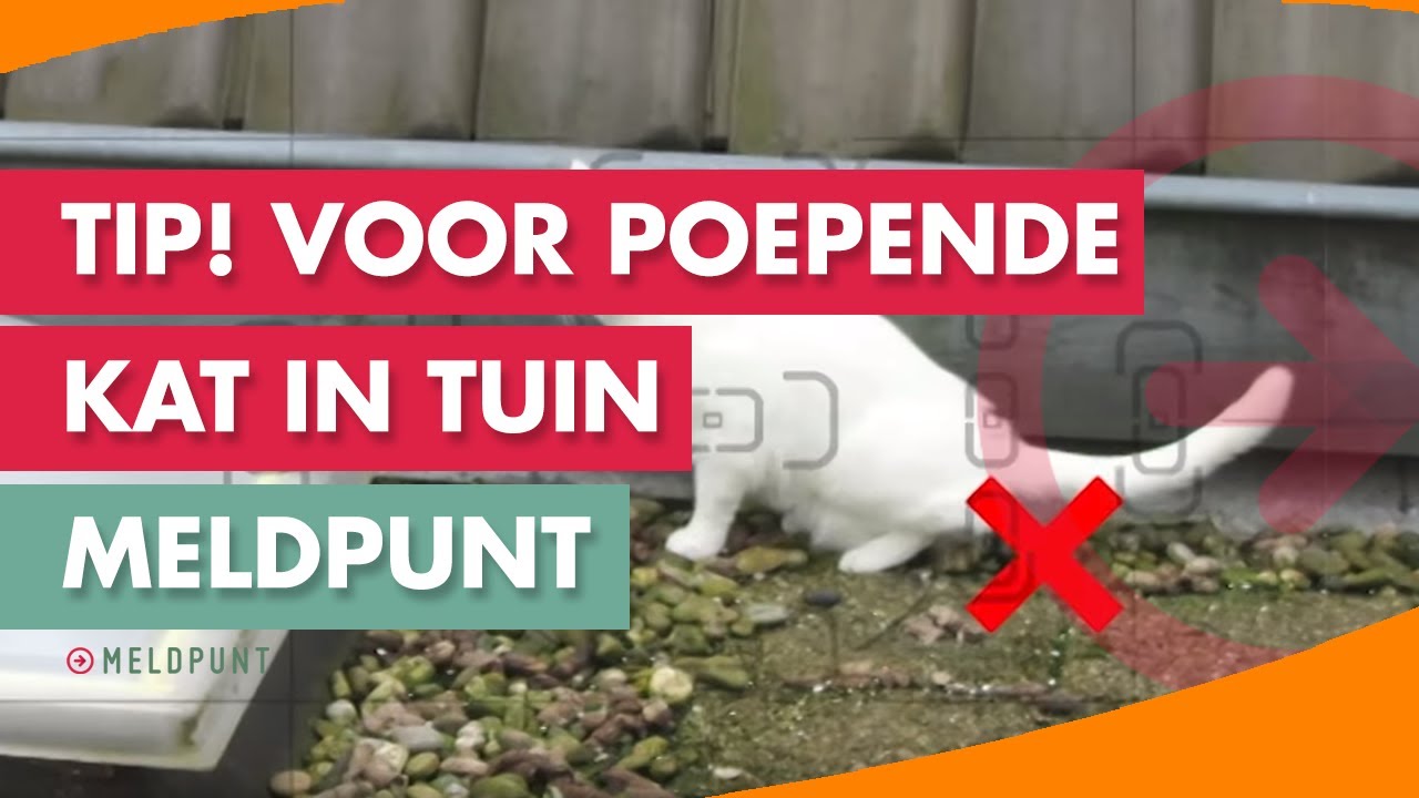 TIP! Hoe hou je poepende katten van je balkon? #12 | MELDPUNT!