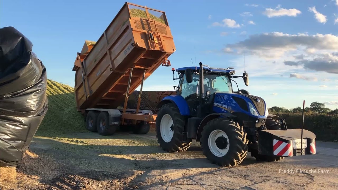 Case Puma 240, New Holland T7.210 with John Deere 8700 - Ball Estates Maize Silage 2022