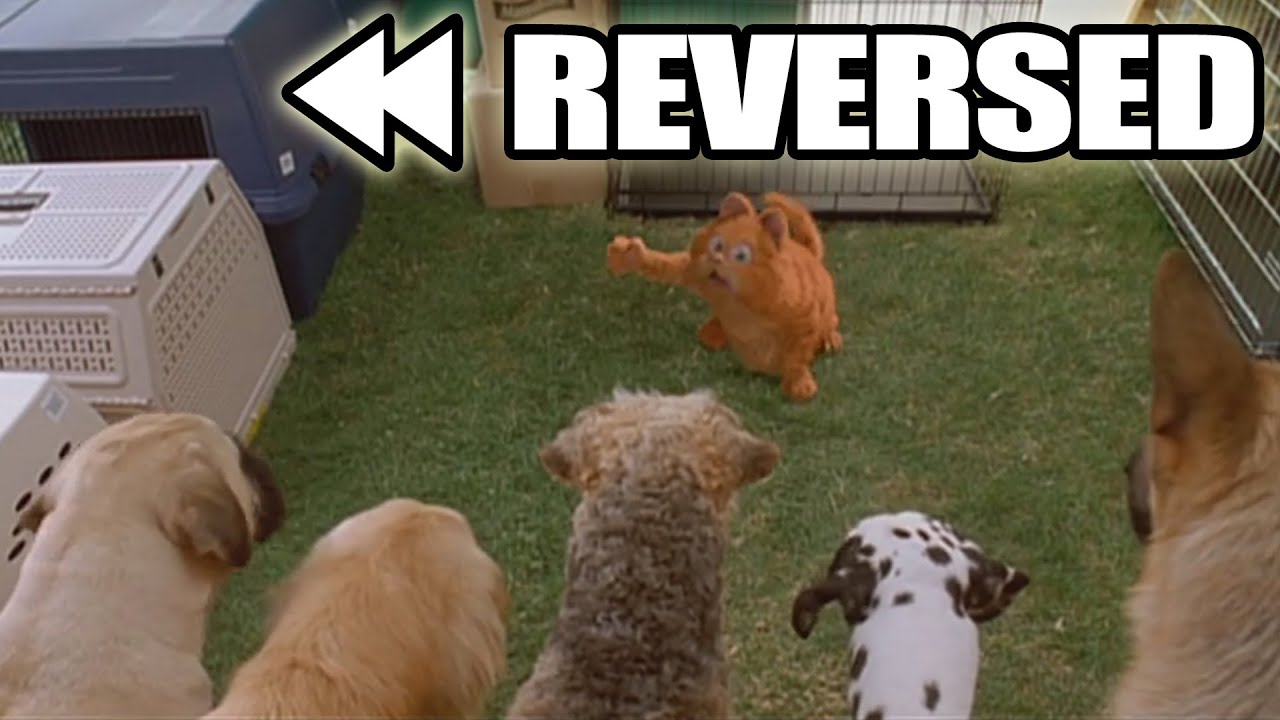 Garfield (2004) - Garfield gets chased by dogs REVERSED