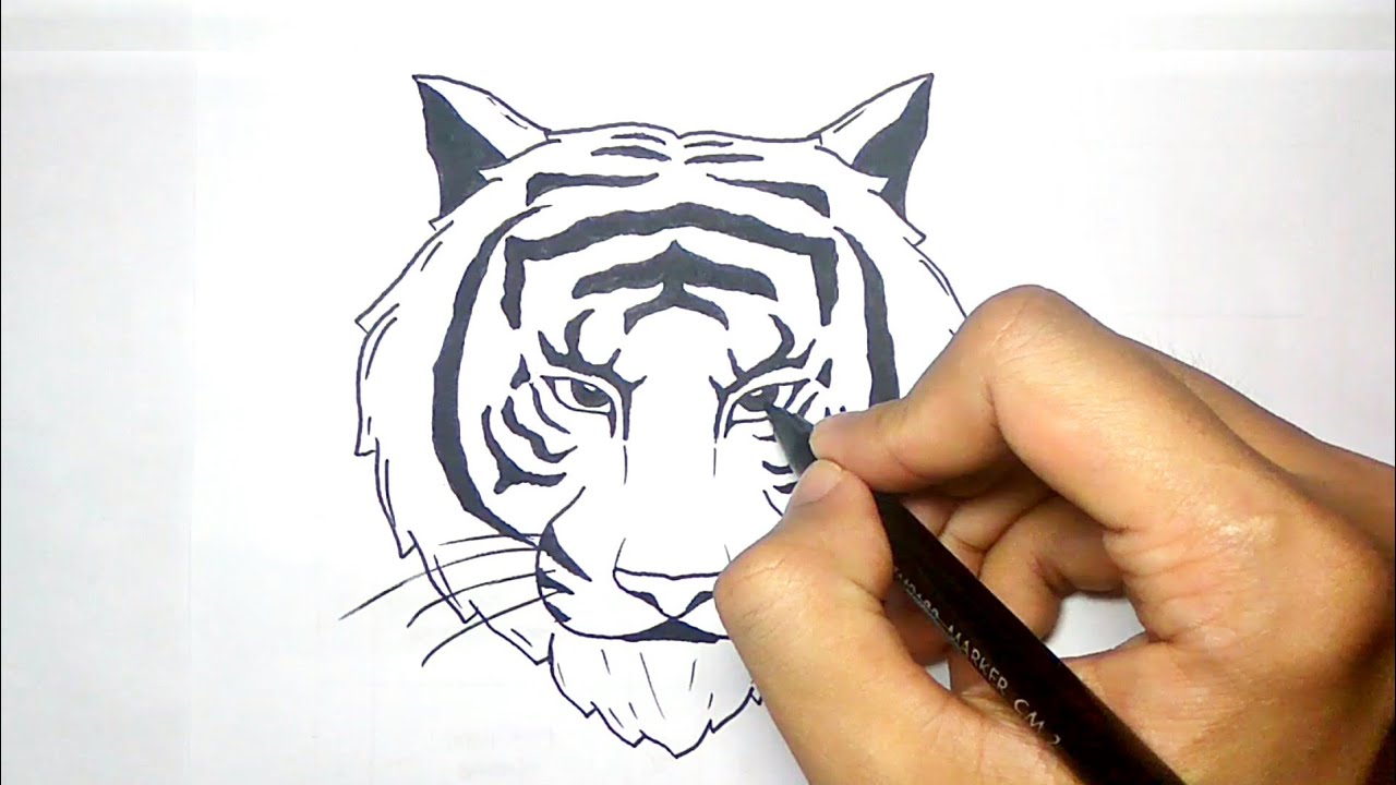 CARA MENGGAMBAR KEPALA HARIMAU DENGAN MUDAH