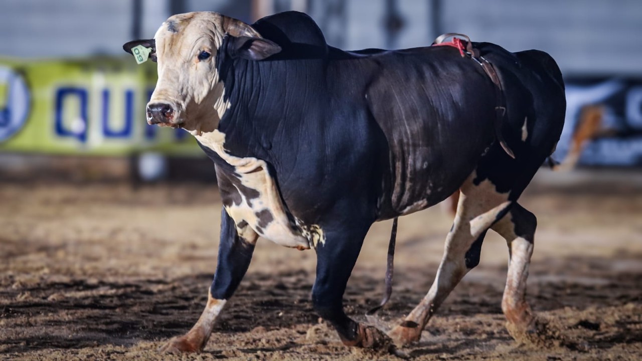 Rodeio de OUROESTE 2026 (S&Aacute;BADO / MELHORES MOMENTOS)