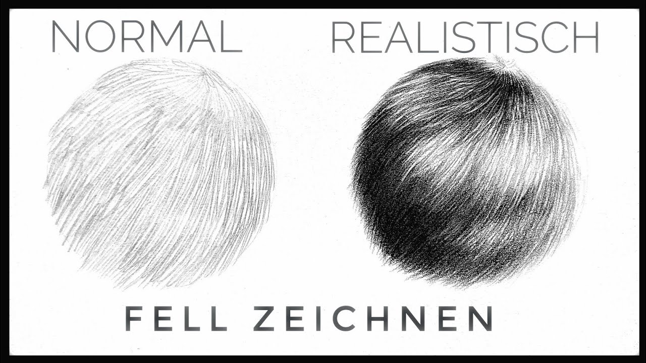 Fell zeichnen lernen - Tipps für das realistische Zeichnen von Fell