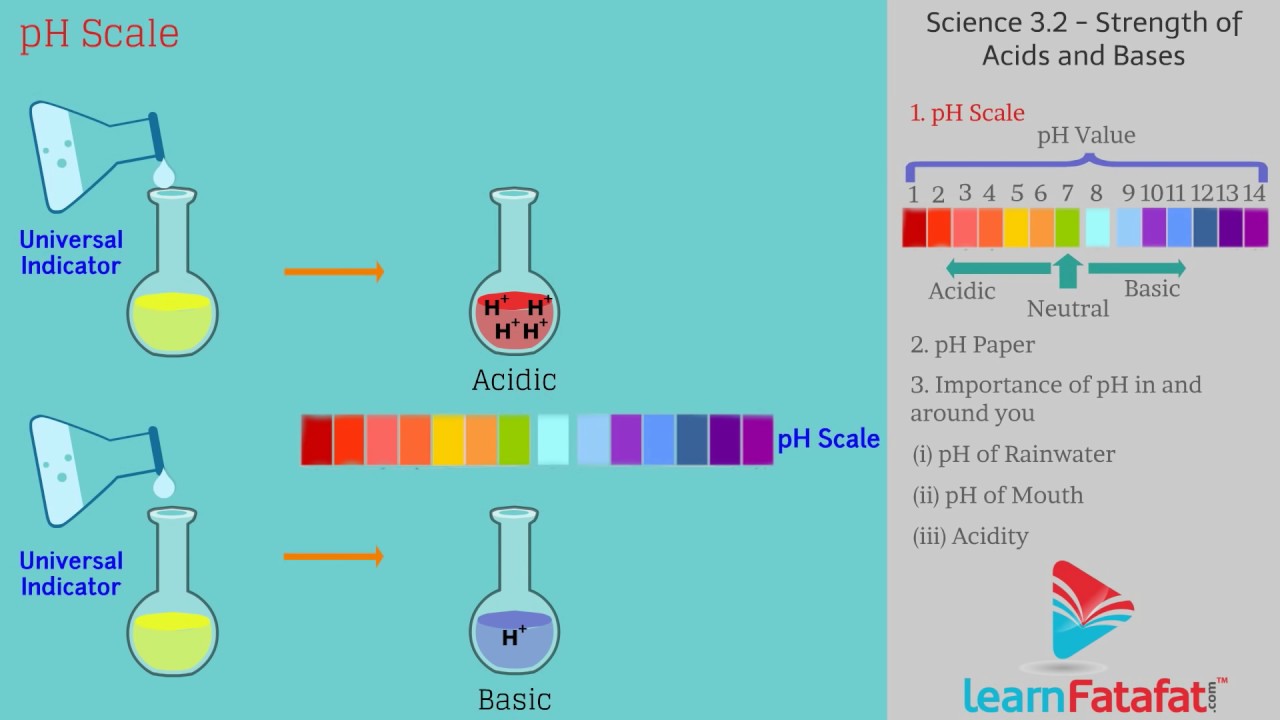 Strength of Acid and Base Solution ph Scale Class 10