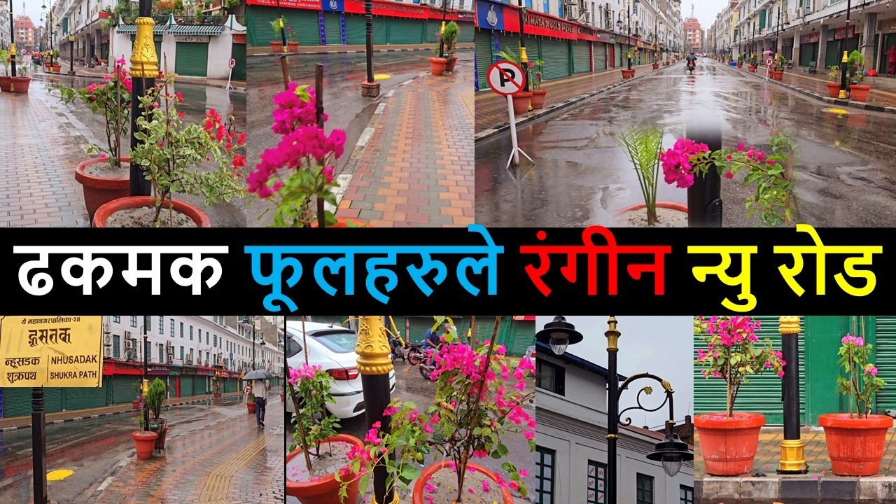 न्यु रोडमा ढकमक फूलहरु | New Look of New Road | Historical New Road get Vintage Light | Balen News